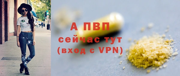 индика Корсаков