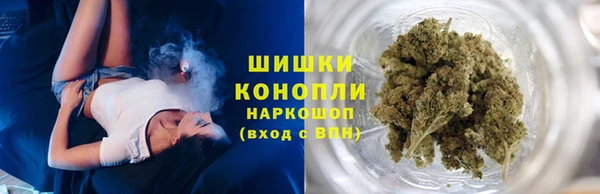 индика Корсаков