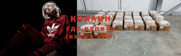 индика Корсаков
