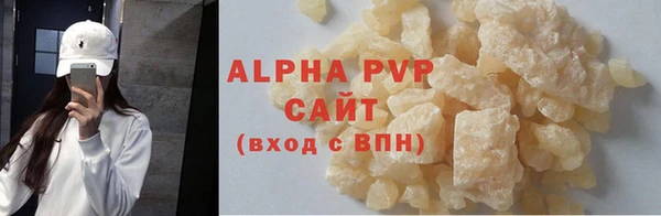 индика Корсаков