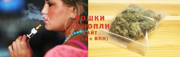 дживик Долгопрудный