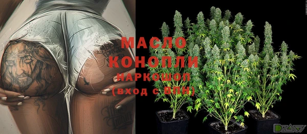 индика Корсаков