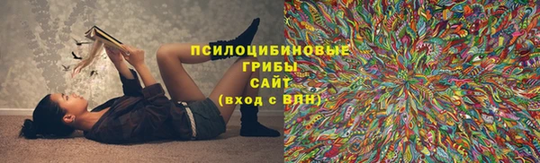 индика Корсаков