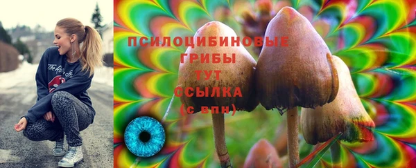 индика Корсаков