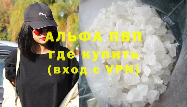 индика Корсаков