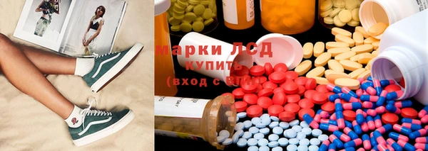 индика Корсаков
