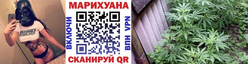 кракен как войти  Медынь  Конопля Amnesia  где можно купить наркотик 